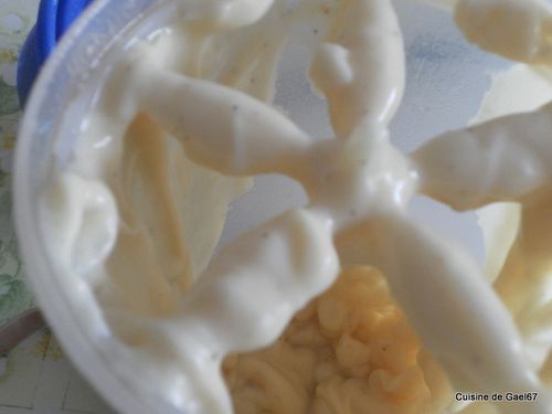 mayonnaise shaker tupperware sans oeufs1