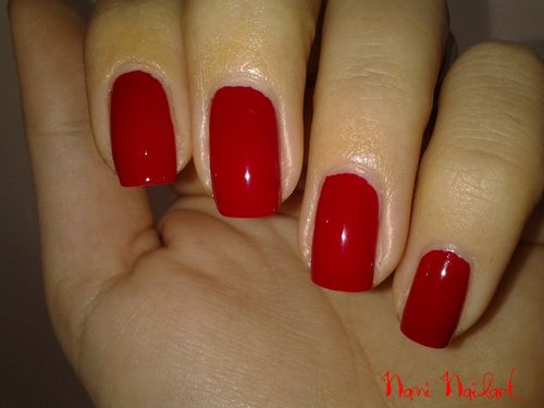 20121204 113324