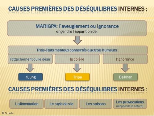 causes-des-maladies MTT
