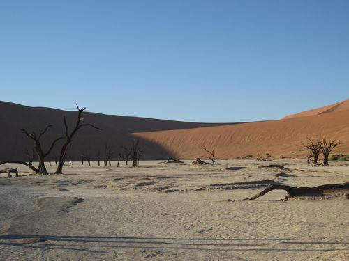 Namibia 1151