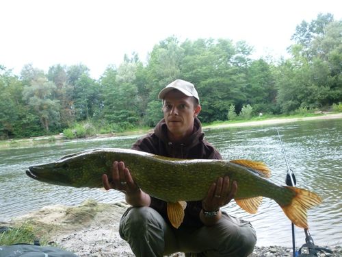 brochet en allemand brochet en allemand