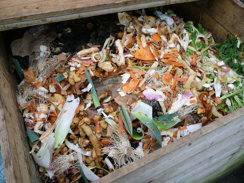 soupe 26.01.2013 le compost se régale