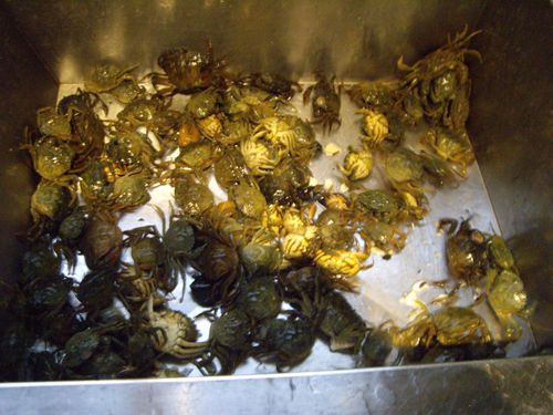 SOupe-de-crabes 7345