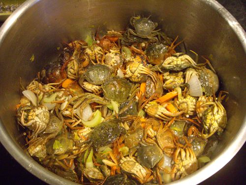 SOupe-de-crabes 7357