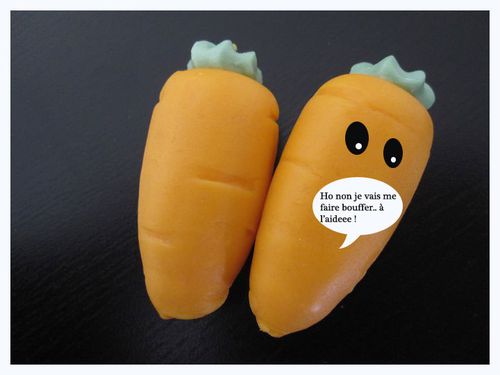 carrotte.jpg
