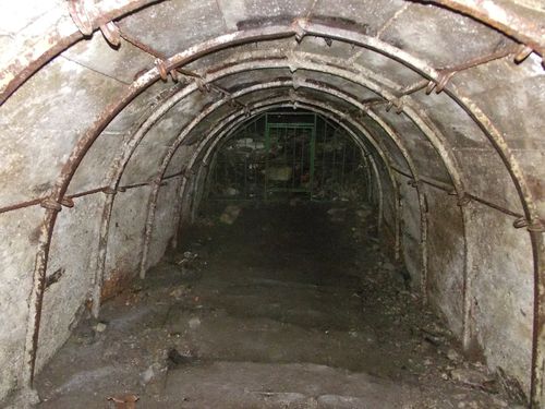 DSCF3869