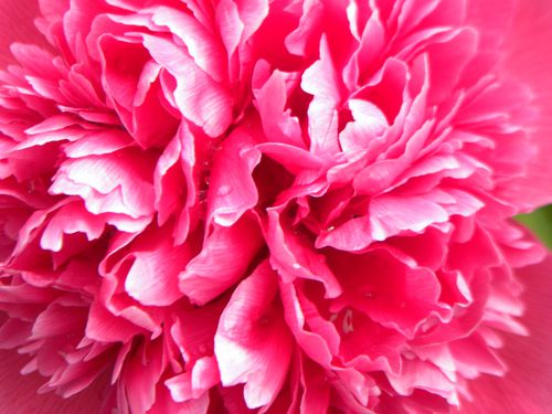 DSCN7816