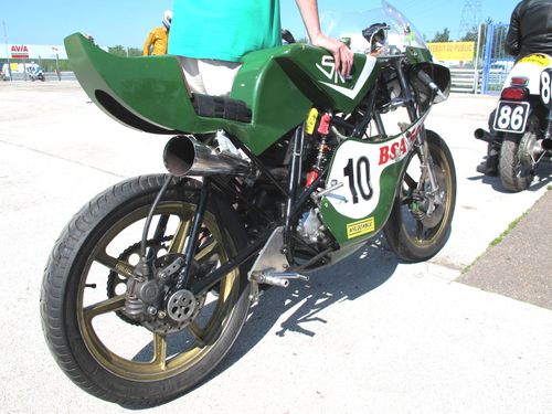 BSA-mono-cantilever.jpg
