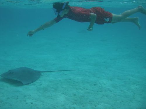 rencontre avec les orques marineland
