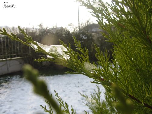photos d'hiver 1