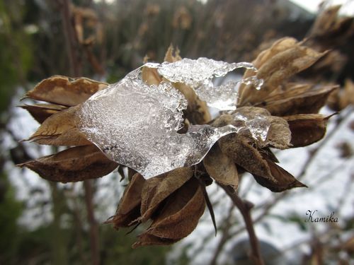 photos d'hiver2