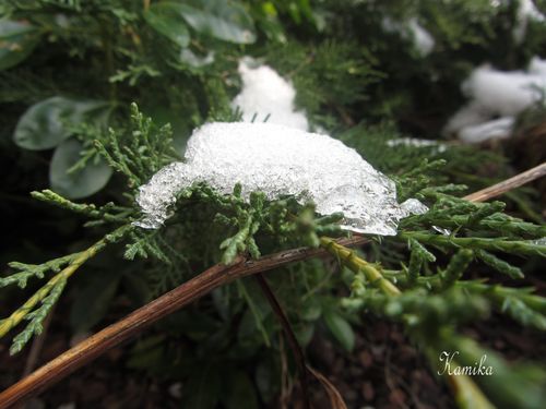 photos d'hiver4