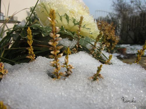 photos d'hiver6