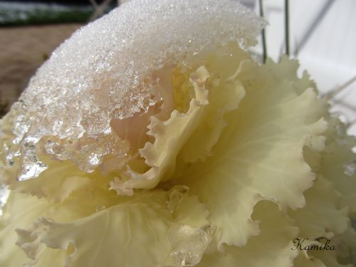 photos d'hiver7