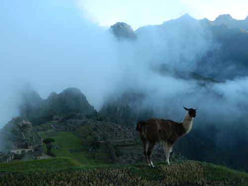 Machu Picchu (1)-copie-2