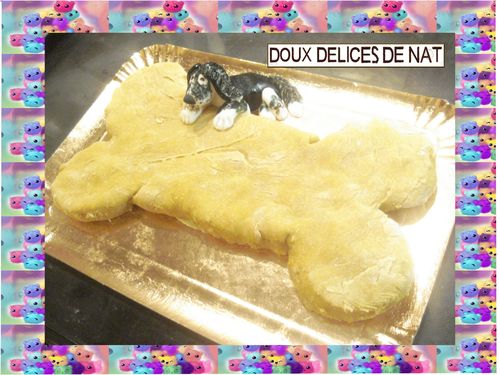 Biscuit-pour-chien Biscuit-pour-chien.JPG