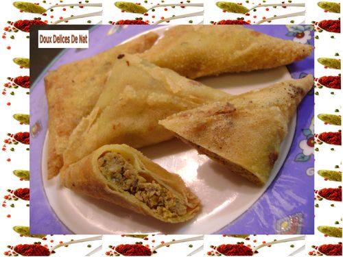 Samoussa-au-boeuf--carottes Samoussa-au-boeuf--carottes--1-.JPG