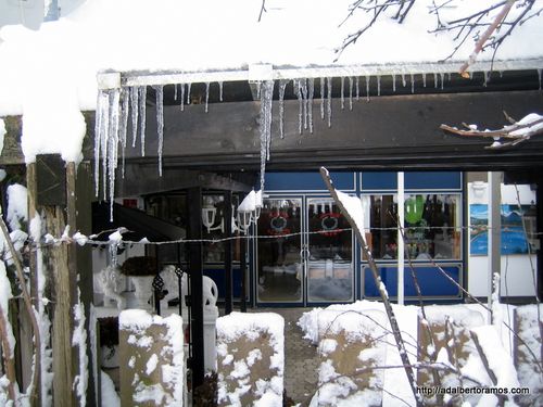 winterbilder-487.jpg