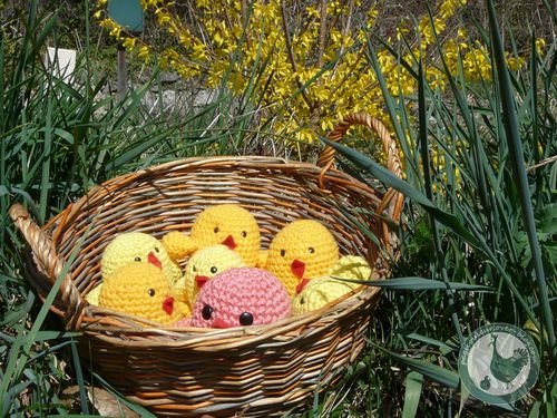 un-panier-de-poussins.jpg