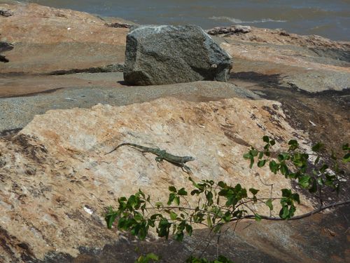 Kourou, 24 Septembre 2011 (12)