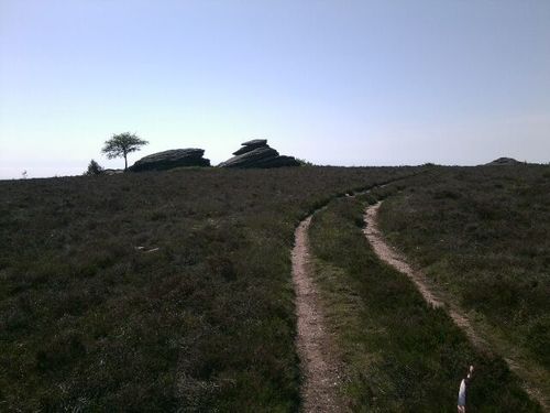 7 Plateau du Caroux 2