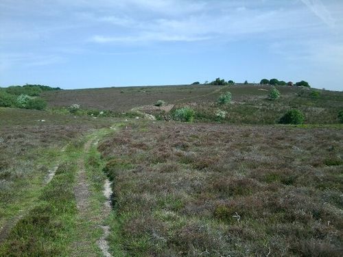 Plateau-du-Caroux.jpg