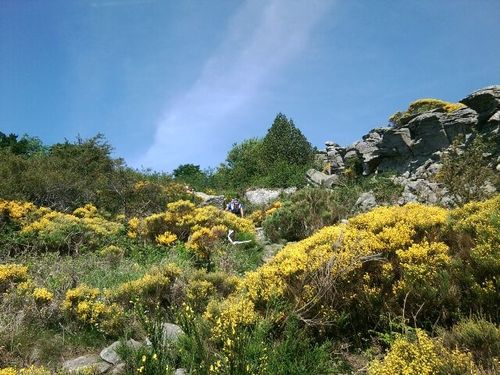 Presque-au-Caroux.jpg