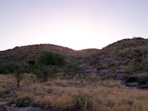 P1040710