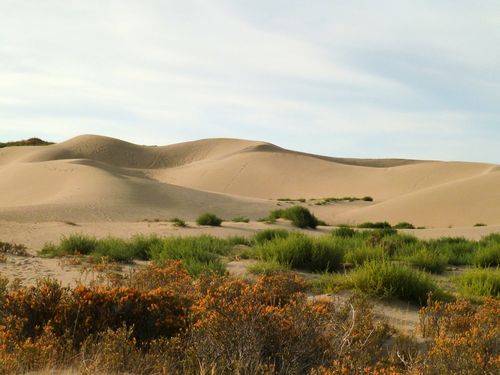 P1050084