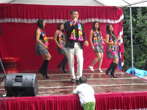 Show (20)