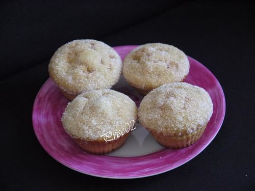 Muffin donut1