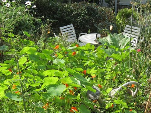 le-jardin-en-octobre 5269