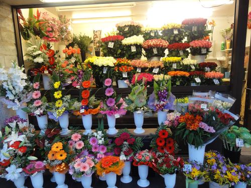 fleurs.jpg
