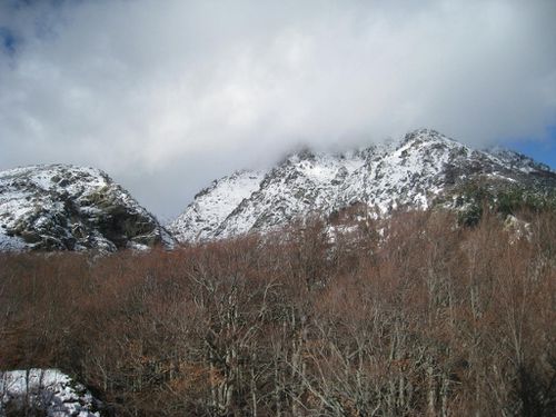 Journee-neige-02-12-2012 8684