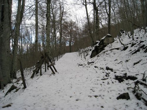 Journee-neige-02-12-2012 8689