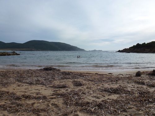 Mère&Père dans la mer