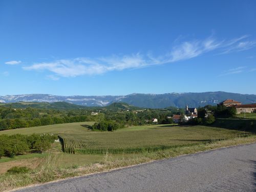 P1010539