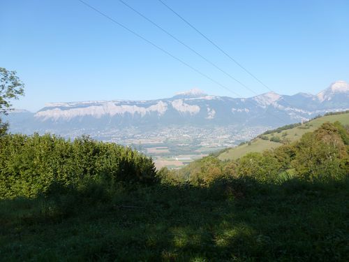 P1010816