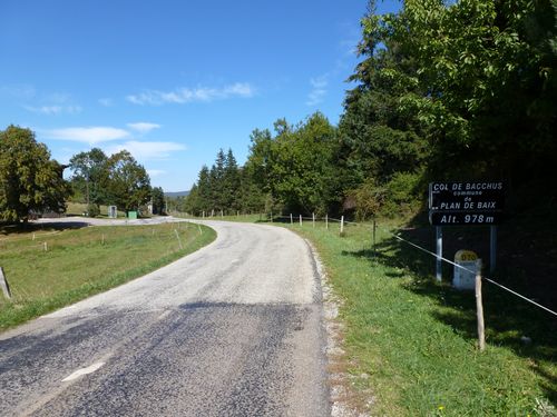 P1010663