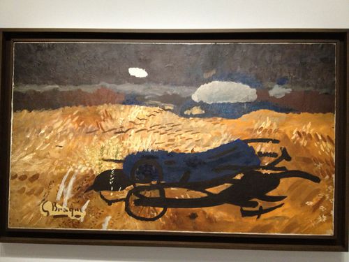 Braque 5438