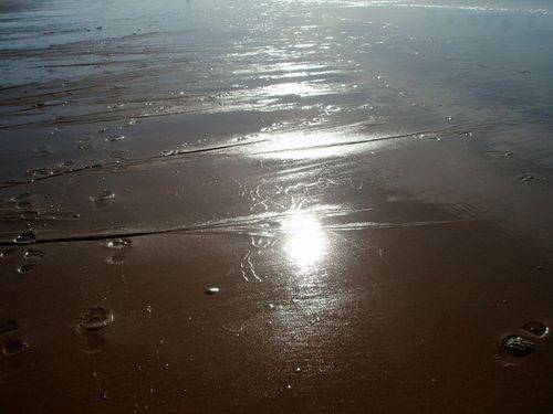 PA292589.JPG