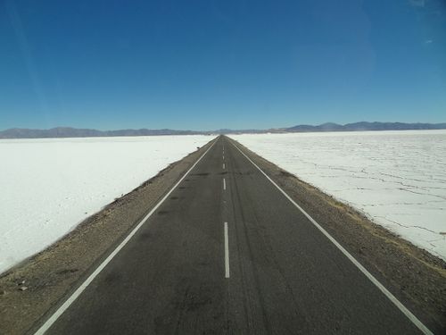 DSC06258 Route Atacama (1024x768)