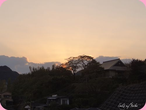 DSC02169