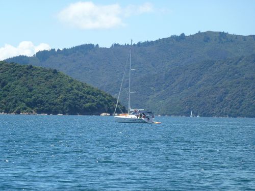 P1000296