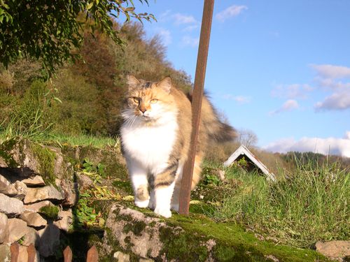 DSCN1454.JPG