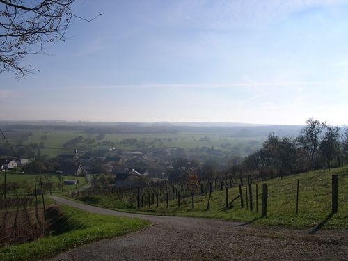 DSCN1520.JPG