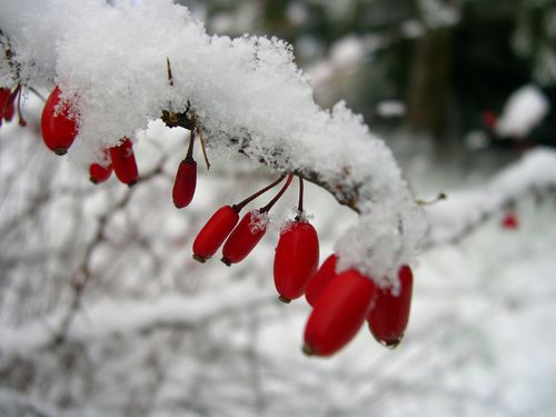 DSCN1774.JPG