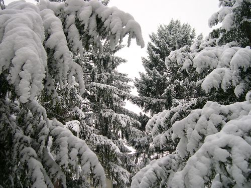 DSCN2098.JPG