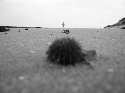 DSCN2455.JPG
