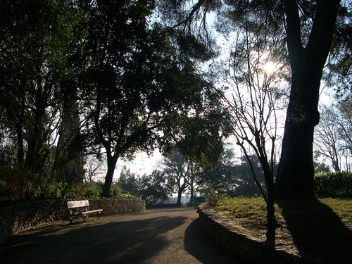 DSCN2547.JPG